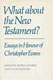 What about the New Testament: Essays in Honour of Christopher Evans